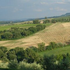 Отель Le Ginestre Arte Vacanze Кьянчиано Терме приотельная территория фото 2