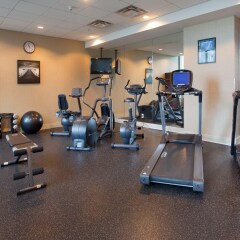 Отель Holiday Inn Vancouver Centre Канада, Ванкувер - отзывы, цены и фото номеров - забронировать отель Holiday Inn Vancouver Centre онлайн фитнесс-зал