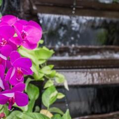 Отель Villa Siam And Spa Бангкок фото 8