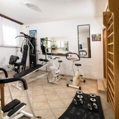 Hotel Walter Гаттео-а-Маре фитнесс-зал фото 3