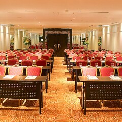 Отель Waterfront Pavilion Hotel and Casino Manila Филиппины, Манила - отзывы, цены и фото номеров - забронировать отель Waterfront Pavilion Hotel and Casino Manila онлайн помещение для мероприятий фото 2