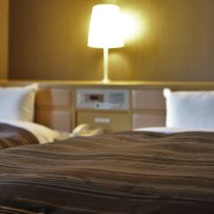 Ark Hotel Okayama - ROUTE-INN HOTELS - удобства в номере фото 2