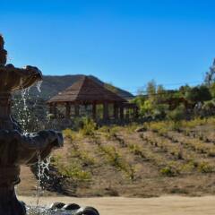 Отель Rancho Tecate Resort с домашними животными