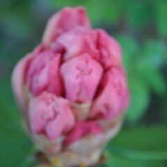 Отель B&B Ambrosia Италия, Аоста - отзывы, цены и фото номеров - забронировать отель B&B Ambrosia онлайн фото 10