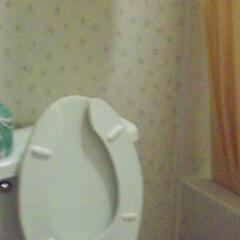 Отель Americas Best Value Inn - Vicksburg ванная