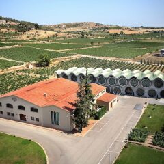 Cava & Hotel Mastinell спортивное сооружение
