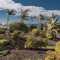 Отель Sheraton Fuerteventura Beach, Golf & Spa Resort развлечения