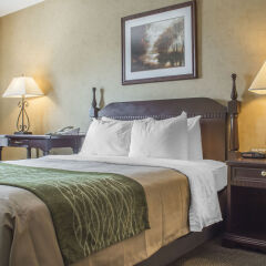 Comfort Inn Sarnia In Sarnia Canada From None Photos Reviews