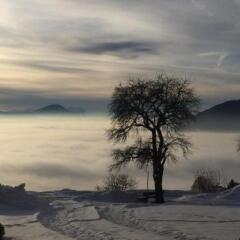 Отель Vogelweiderhof Австрия, Зальцбург - отзывы, цены и фото номеров - забронировать отель Vogelweiderhof онлайн бассейн