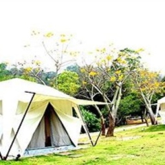 Отель Khao Kheaw es-ta-te Camping Resort & Safari бассейн