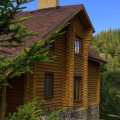 Гостиница Villa Alpiyka фото 23