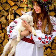 Гостиница Кодацкий Кош Украина, Писчанка - отзывы, цены и фото номеров - забронировать гостиницу Кодацкий Кош онлайн с домашними животными