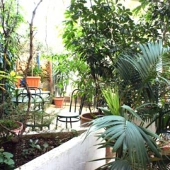Dioskouros Hostel фото 3