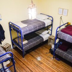 Hostel Home Мехико детские мероприятия