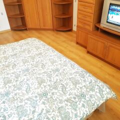 Гостиница DeLuxe Apartment Grina 34 в Москве отзывы, цены и фото номеров - забронировать гостиницу DeLuxe Apartment Grina 34 онлайн Москва комната для гостей фото 2
