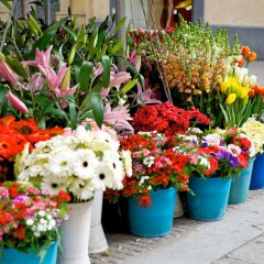 Отель Mercure Palermo Centro Италия, Палермо - 2 отзыва об отеле, цены и фото номеров - забронировать отель Mercure Palermo Centro онлайн фото 8