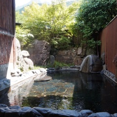 Отель Oyado Nurukawa Onsen Хидзи бассейн
