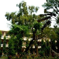 Отель Rhino Lodge & Hotel Непал, Саураха - отзывы, цены и фото номеров - забронировать отель Rhino Lodge & Hotel онлайн