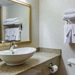 Отель Comfort Inn Washington Dulles International ванная фото 2