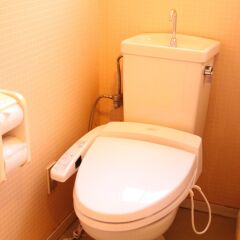 Отель Country Inn Green City Nikko Никко ванная