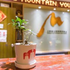 Отель Shanghai Blue Mountain Luwan Youth Hostel Китай, Шанхай - отзывы, цены и фото номеров - забронировать отель Shanghai Blue Mountain Luwan Youth Hostel онлайн бассейн