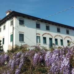 Отель Agriturismo Sartori Terenzio Италия, Куинто-Вичентино - отзывы, цены и фото номеров - забронировать отель Agriturismo Sartori Terenzio онлайн фото 6