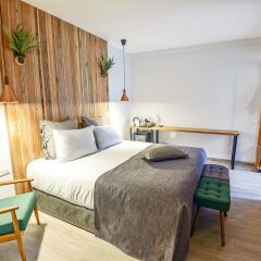 Family Tree Hotel комната для гостей