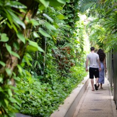 Отель Andaman White Beach Resort фото 12