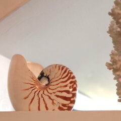 Отель Nautilus спа