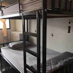 Feel Like Home Dormitory - Hostel сейф в номере