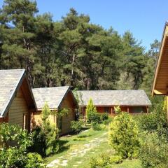 Отель Olympos Village фото 4