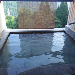Отель Gokan Resort Ushidake Тояма бассейн