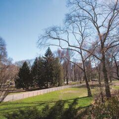 Отель La Quinta Inn & Suites New York City Central Park США, Нью-Йорк - отзывы, цены и фото номеров - забронировать отель La Quinta Inn & Suites New York City Central Park онлайн спортивное сооружение