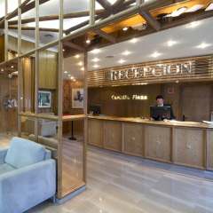 Hotel Vía Castellana фото 4