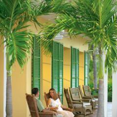 Отель Grand Lucayan Большая Багама фото 6