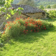 The Gallipoli Houses Турция, Гузеляли - отзывы, цены и фото номеров - забронировать отель The Gallipoli Houses онлайн фото 2