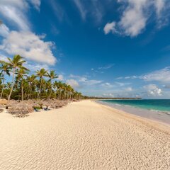 Отель Grand Bavaro Princess Доминикана, Пунта Кана - 11 отзывов об отеле, цены и фото номеров - забронировать отель Grand Bavaro Princess онлайн пляж фото 2
