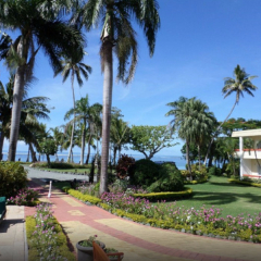 Отель Bedarra Beach Inn развлечения