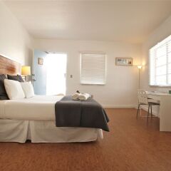 Aqua Hotel Suites Miami Beach United States Of America Zenhotels