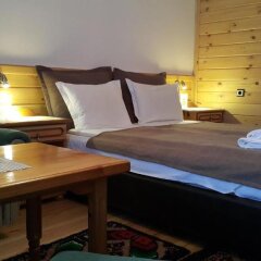 Отель Family Hotel Dzhangal Болгария, Банско - отзывы, цены и фото номеров - забронировать отель Family Hotel Dzhangal онлайн удобства в номере фото 2