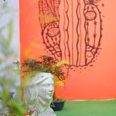 Blue Pepper Hostel Chapultepec Гвадалахара фото 18