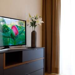 Отель Vienna Westside Apartments Австрия, Вена - отзывы, цены и фото номеров - забронировать отель Vienna Westside Apartments онлайн удобства в номере фото 2