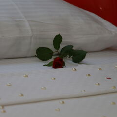 The Marmaris Boutique Hotel Турция, Мармарис - отзывы, цены и фото номеров - забронировать отель The Marmaris Boutique Hotel онлайн комната для гостей фото 4