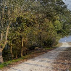 Отель Agriturismo Ben Ti Voglio Италия, Болонья - отзывы, цены и фото номеров - забронировать отель Agriturismo Ben Ti Voglio онлайн приотельная территория фото 2