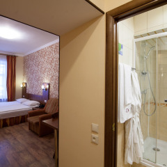 Гостиница Династия 3* Стандартный номер разные типы кроватей фото 29