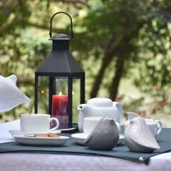 Отель Mahoora Tented Safari Camp - Kumana Шри-Ланка, Яла - отзывы, цены и фото номеров - забронировать отель Mahoora Tented Safari Camp - Kumana онлайн фитнесс-зал фото 2