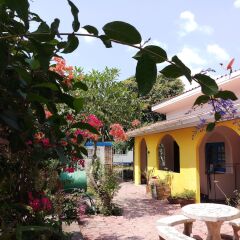 Отель Pennys Home Stay Resort фото 13