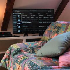Апартаменты Generous Attic Apartment развлечения