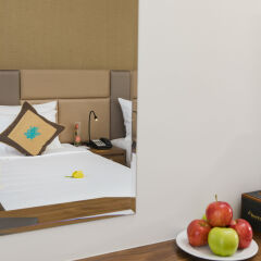 Sen Viet Premium Hotel Nha Trang в номере