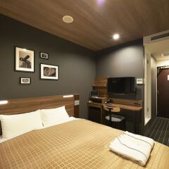 Отель Sotetsu Fresa Inn Nihombashi-Kayabacho комната для гостей фото 4